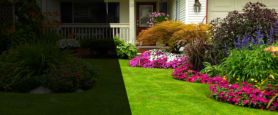Ocilla Landscapers