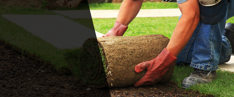 Ocilla Landscapers